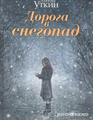 Дорога в снегопад