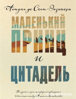 Маленький принц и Цитадель
